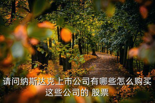 請問納斯達克上市公司有哪些怎么購買這些公司的 股票