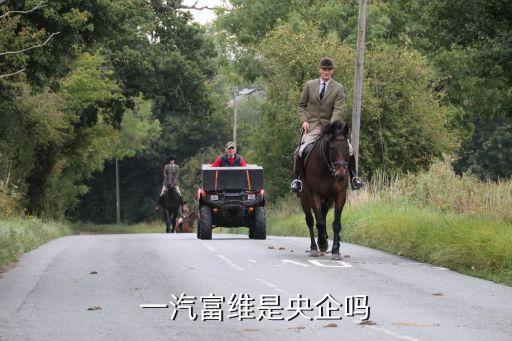 汽車(chē)零部件股份有限公司,一汽富維東陽(yáng)汽車(chē)零部件股份有限公司