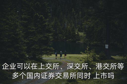 企業(yè)可以在上交所、深交所、港交所等多個(gè)國內(nèi)證券交易所同時(shí) 上市嗎