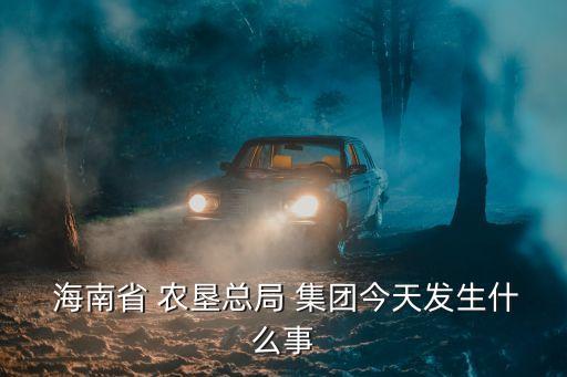  海南省 農(nóng)墾總局 集團(tuán)今天發(fā)生什么事