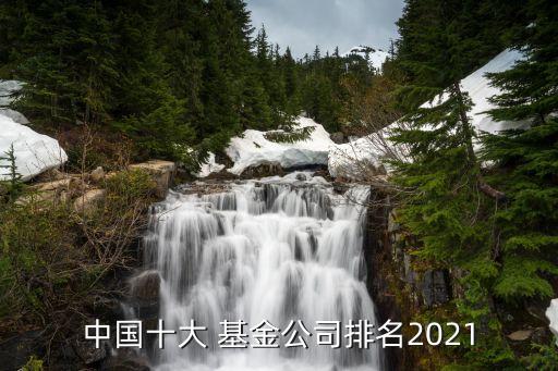 中國十大 基金公司排名2021