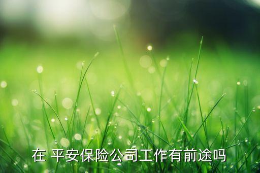 在 平安保險(xiǎn)公司工作有前途嗎