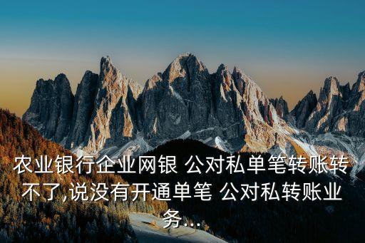 農(nóng)業(yè)銀行企業(yè)網(wǎng)銀 公對私單筆轉(zhuǎn)賬轉(zhuǎn)不了,說沒有開通單筆 公對私轉(zhuǎn)賬業(yè)務(wù)...