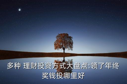 多種 理財(cái)投資方式大盤(pán)點(diǎn):領(lǐng)了年終獎(jiǎng)錢(qián)投哪里好