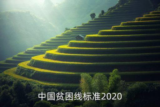 中國貧困線標(biāo)準(zhǔn)2020