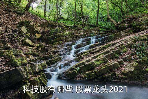  科技股有哪些 股票龍頭2021