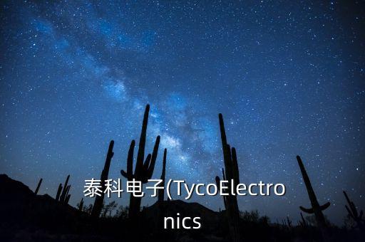  泰科電子(TycoElectronics