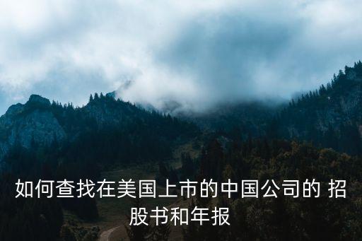 海南礦業(yè)股份有限公司招股書,海南有色金屬礦業(yè)股份有限公司