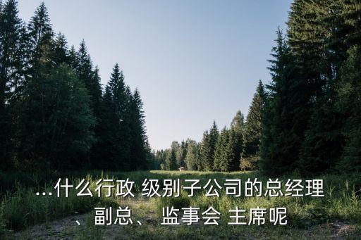 ...什么行政 級(jí)別子公司的總經(jīng)理、副總、 監(jiān)事會(huì) 主席呢