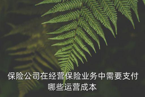  保險公司在經(jīng)營保險業(yè)務(wù)中需要支付哪些運營成本