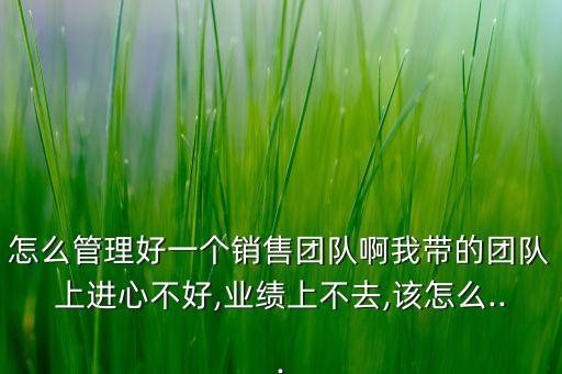 怎么管理好一個銷售團隊啊我?guī)У膱F隊上進心不好,業(yè)績上不去,該怎么...