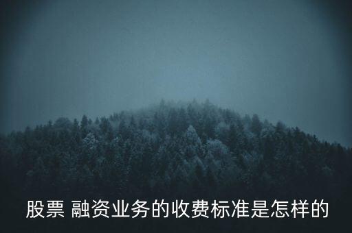  股票 融資業(yè)務(wù)的收費標(biāo)準(zhǔn)是怎樣的