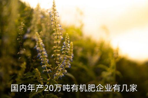 國(guó)內(nèi)年產(chǎn)20萬(wàn)噸有機(jī)肥企業(yè)有幾家