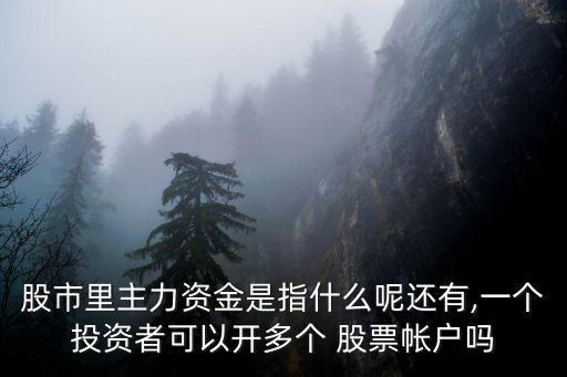 股市里主力資金是指什么呢還有,一個(gè)投資者可以開多個(gè) 股票帳戶嗎