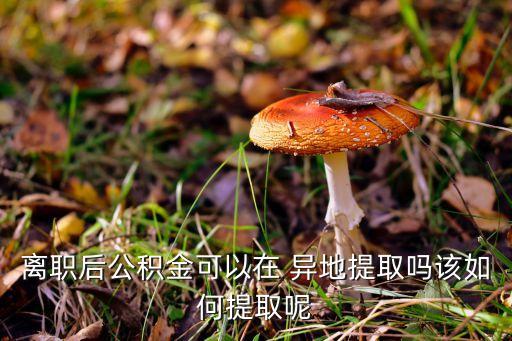 離職后公積金可以在 異地提取嗎該如何提取呢