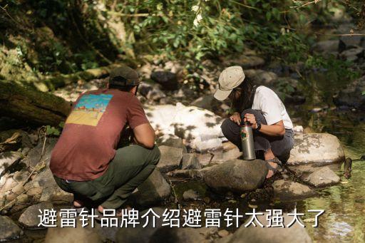 避雷針品牌介紹避雷針太強(qiáng)大了