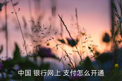 中國(guó) 銀行網(wǎng)上 支付怎么開通