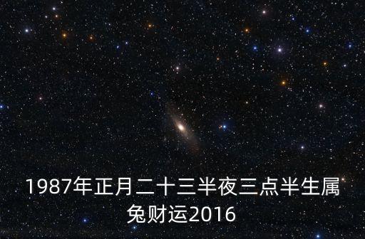 1987年正月二十三半夜三點(diǎn)半生屬兔財(cái)運(yùn)2016