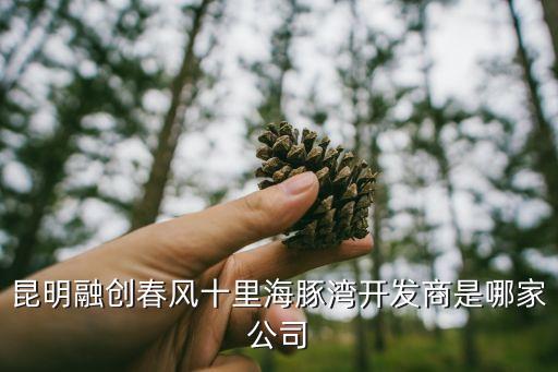 昆明融創(chuàng)春風(fēng)十里海豚灣開發(fā)商是哪家公司