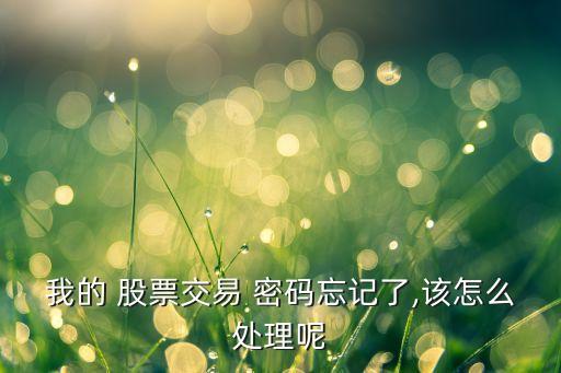 我的 股票交易 密碼忘記了,該怎么處理呢