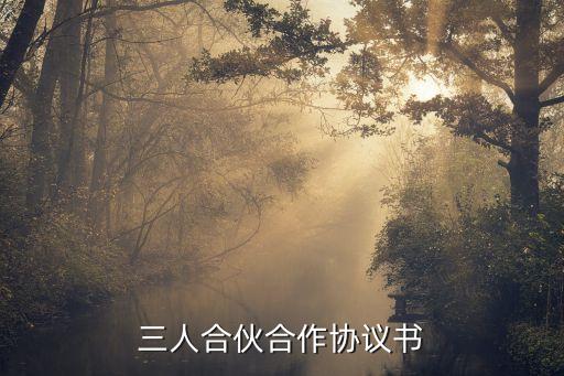 三人合伙合作協(xié)議書(shū)