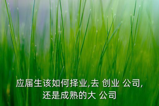 應(yīng)屆生該如何擇業(yè),去 創(chuàng)業(yè) 公司,還是成熟的大 公司