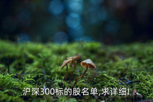 滬深300標(biāo)的股名單,求詳細!