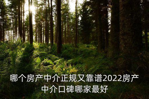 哪個房產中介正規(guī)又靠譜2022房產中介口碑哪家最好