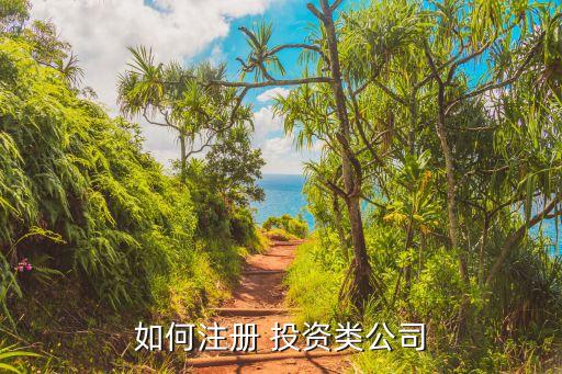 如何注冊(cè) 投資類(lèi)公司