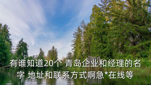 有誰知道20個 青島企業(yè)和經(jīng)理的名字 地址和聯(lián)系方式啊急*在線等