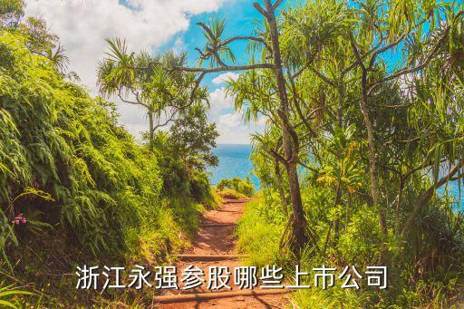 浙江永強(qiáng)參股哪些上市公司