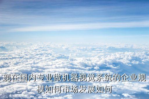 現(xiàn)在國內(nèi)專業(yè)做機器視覺系統(tǒng)的企業(yè)規(guī)模如何市場發(fā)展如何