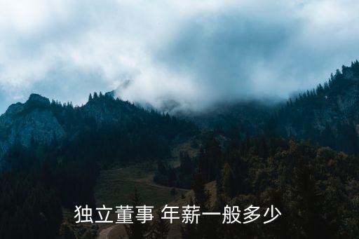 江西上市公司年薪,上市公司銷(xiāo)售總監(jiān)年薪一般多少