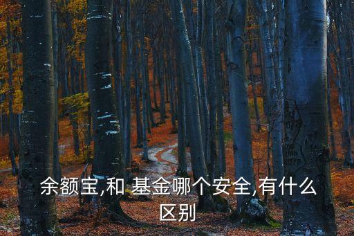  余額寶,和 基金哪個安全,有什么區(qū)別