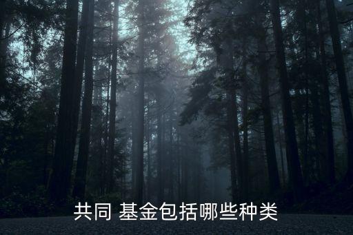 投資共同基金,共同基金的投資范圍