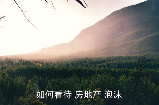 如何看待 房地產(chǎn) 泡沫