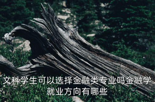 文科學(xué)生可以選擇金融類專業(yè)嗎金融學(xué)就業(yè)方向有哪些