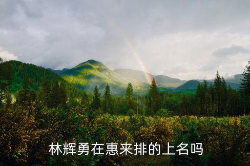 北京永利多房地產(chǎn)有限公司董事長(zhǎng)林輝勇