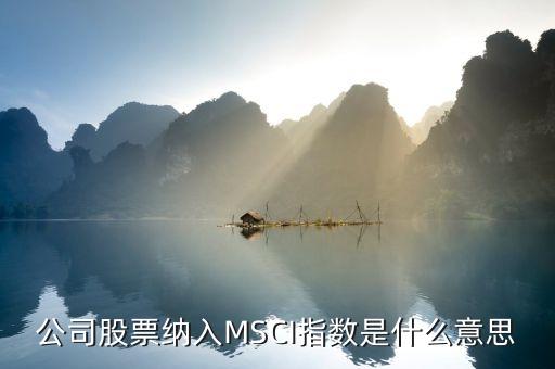 公司股票納入MSCI指數(shù)是什么意思