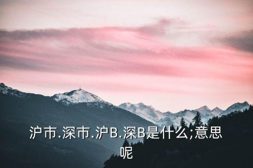 滬市.深市.滬B.深B是什么;意思呢