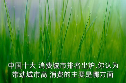 中國(guó)十大 消費(fèi)城市排名出爐,你認(rèn)為帶動(dòng)城市高 消費(fèi)的主要是哪方面