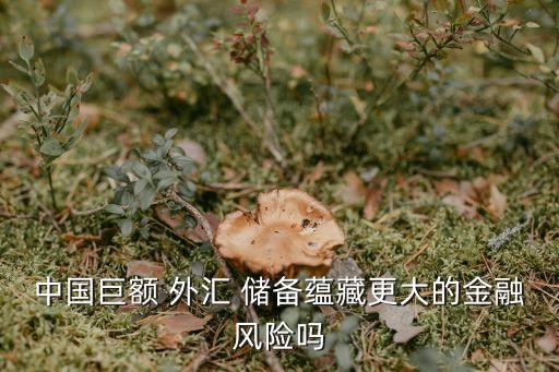 中國巨額 外匯 儲備蘊(yùn)藏更大的金融風(fēng)險嗎