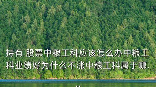 持有 股票中糧工科應(yīng)該怎么辦中糧工科業(yè)績(jī)好為什么不漲中糧工科屬于哪...