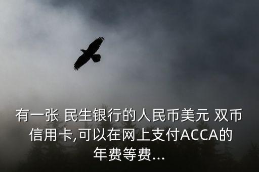 有一張 民生銀行的人民幣美元 雙幣 信用卡,可以在網(wǎng)上支付ACCA的年費等費...