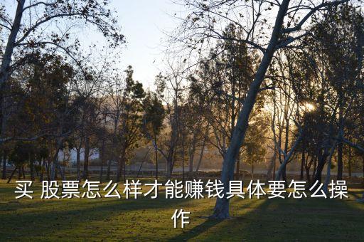 買 股票怎么樣才能賺錢具體要怎么操作