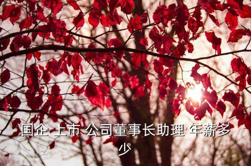 國(guó)企 上市 公司董事長(zhǎng)助理 年薪多少