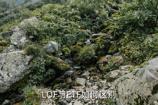 LOF與ETF如何區(qū)別