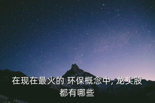 在現(xiàn)在最火的 環(huán)保概念中, 龍頭股都有哪些