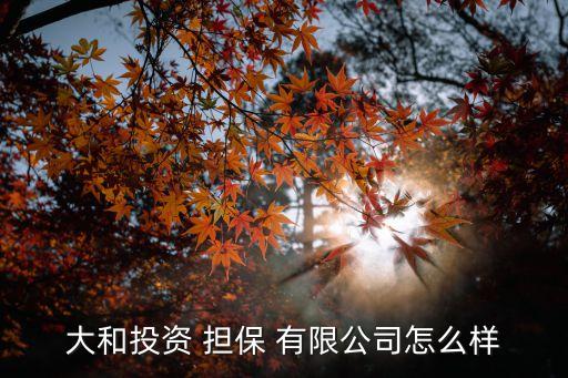 大和投資 擔(dān)保 有限公司怎么樣