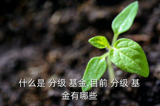 分級(jí)基金是傘形信托嗎